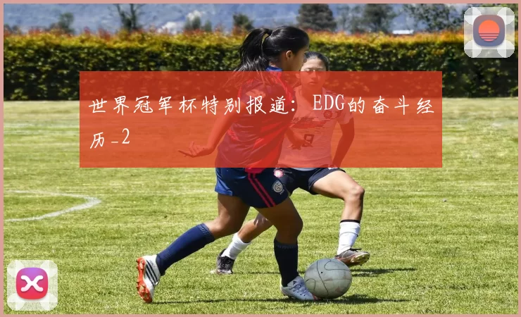 世界冠军杯特别报道：EDG的奋斗经历_2