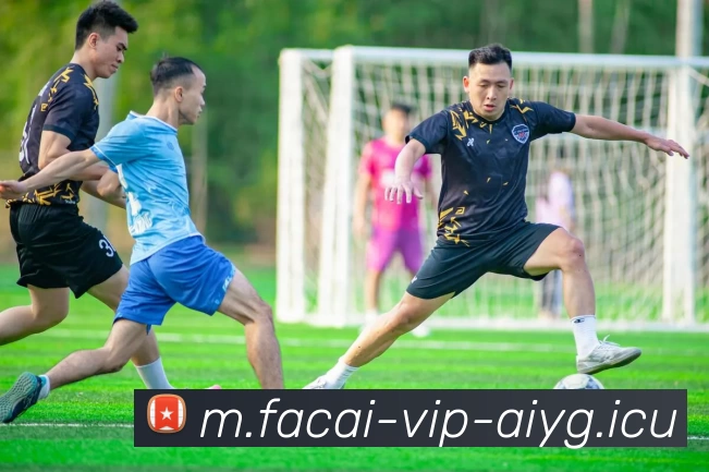 乐鱼体育平台生态图