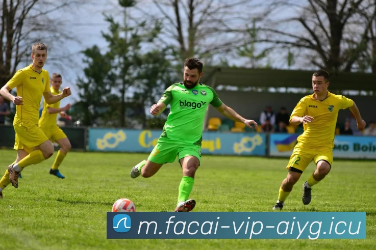 乐鱼体育APP 封面图